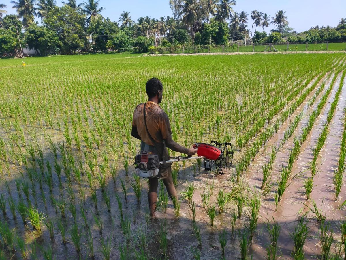 The Farm Crest, Ecr Kadallur Kūvattūr エクステリア 写真