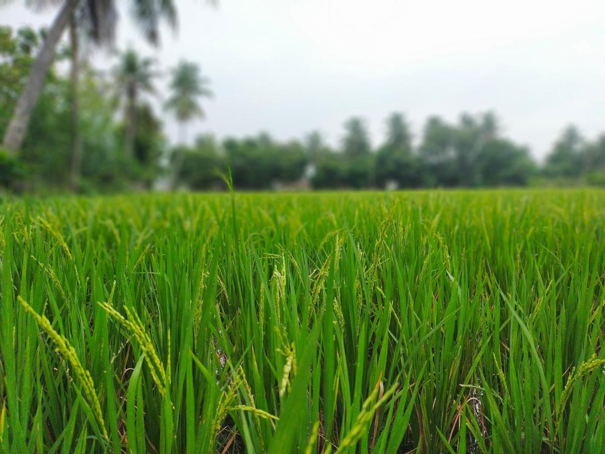 The Farm Crest, Ecr Kadallur Kūvattūr エクステリア 写真